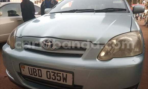 Acheter Occasion Voiture Toyota Allex Bleu à Kampala, Ouganda Acheter Occasion Voiture Toyota Allex Bleu à Kampala, Ouganda