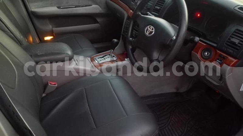 Big with watermark 46786453 2273553316023464 2587850424430100480 n