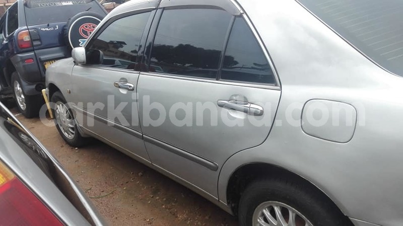 Big with watermark 45941388 2252592748119521 1884549272012062720 n