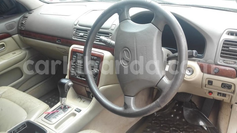 Big with watermark 46197199 2252592624786200 2822279497611476992 n