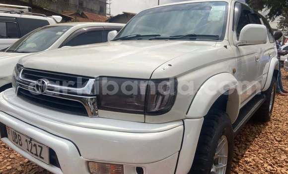Acheter Occasion Voiture Toyota Hilux Surf Blanc à Kampala, Ouganda Acheter Occasion Voiture Toyota Hilux Surf Blanc à Kampala, Ouganda