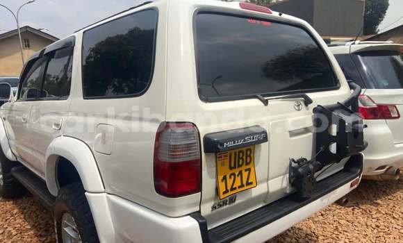Acheter Occasion Voiture Toyota Hilux Surf Blanc à Kampala, Ouganda Acheter Occasion Voiture Toyota Hilux Surf Blanc à Kampala, Ouganda