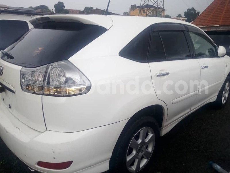 Big with watermark 44983303 2232567750122021 5587826359893229568 n