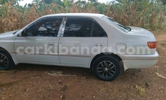 Nunua Ilio tumika Toyota Premio Nyeupe Gari ndani ya Bugiri nchini Mashariki Nunua Ilio tumika Toyota Premio Nyeupe Gari ndani ya Bugiri nchini Mashariki