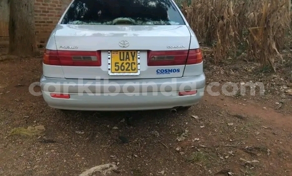 Buy Used Toyota Premio White Car in Bugiri in Eastern Buy Used Toyota Premio White Car in Bugiri in Eastern