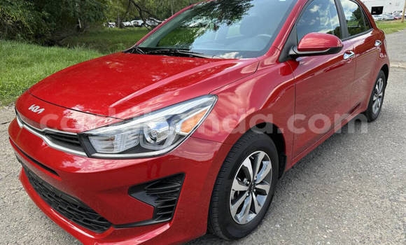 Buy Used Kia Rio Red Car in Kampala in Uganda