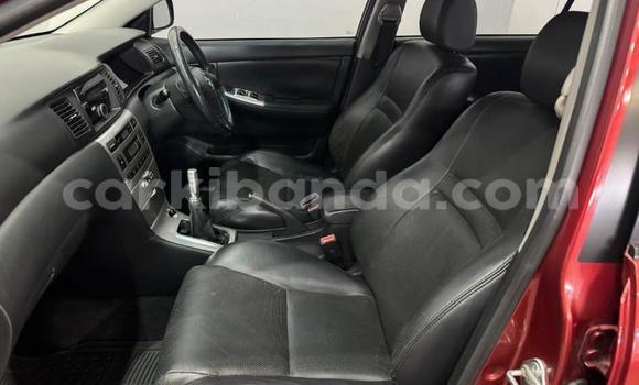 Buy Used Toyota Runx Red Car in Kampala in Uganda Buy Used Toyota Runx Red Car in Kampala in Uganda