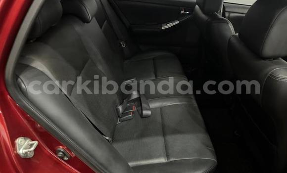 Buy Used Toyota Runx Red Car in Kampala in Uganda Buy Used Toyota Runx Red Car in Kampala in Uganda