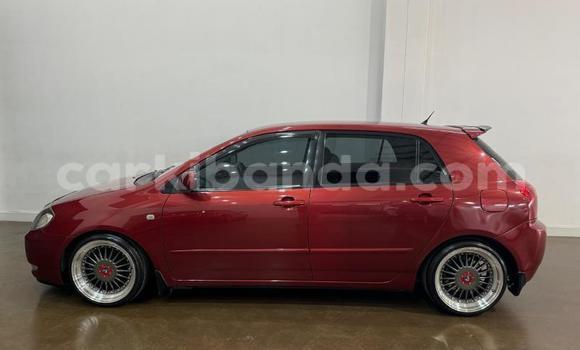 Buy Used Toyota Runx Red Car in Kampala in Uganda Buy Used Toyota Runx Red Car in Kampala in Uganda