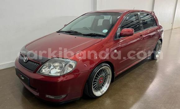 Buy Used Toyota Runx Red Car in Kampala in Uganda Buy Used Toyota Runx Red Car in Kampala in Uganda