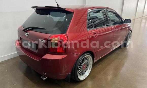 Buy Used Toyota Runx Red Car in Kampala in Uganda Buy Used Toyota Runx Red Car in Kampala in Uganda