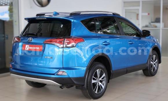 Buy Used Toyota RAV4 Blue Car in Kampala in Uganda Buy Used Toyota RAV4 Blue Car in Kampala in Uganda