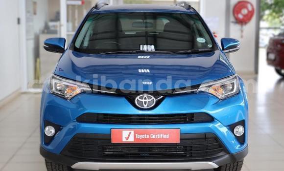 Buy Used Toyota RAV4 Blue Car in Kampala in Uganda Buy Used Toyota RAV4 Blue Car in Kampala in Uganda