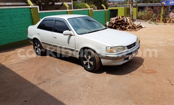 Buy Used Toyota Corolla White Car in Kampala in Uganda Buy Used Toyota Corolla White Car in Kampala in Uganda