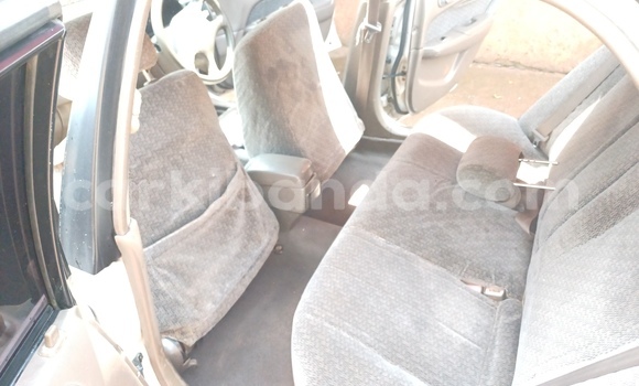 Buy Used Toyota Corolla White Car in Kampala in Uganda Buy Used Toyota Corolla White Car in Kampala in Uganda