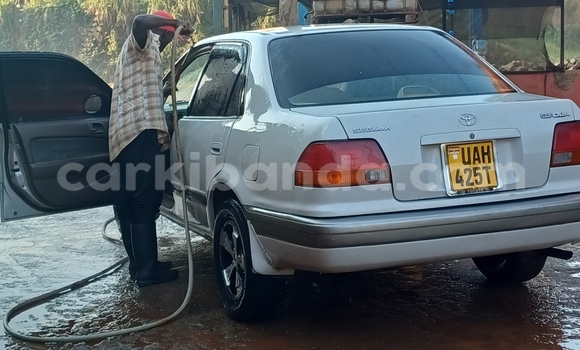 Buy Used Toyota Corolla White Car in Kampala in Uganda Buy Used Toyota Corolla White Car in Kampala in Uganda