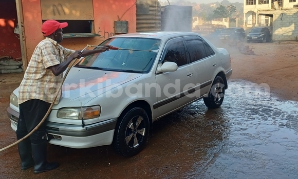 Buy Used Toyota Corolla White Car in Kampala in Uganda Buy Used Toyota Corolla White Car in Kampala in Uganda