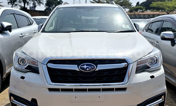 Buy New Subaru Forester White Car in Kampala in Uganda Buy New Subaru Forester White Car in Kampala in Uganda