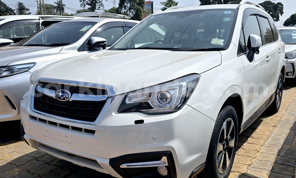 Buy New Subaru Forester White Car in Kampala in Uganda Buy New Subaru Forester White Car in Kampala in Uganda