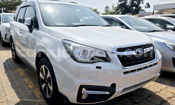 Buy New Subaru Forester White Car in Kampala in Uganda Buy New Subaru Forester White Car in Kampala in Uganda