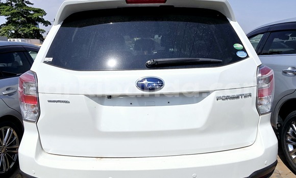 Buy New Subaru Forester White Car in Kampala in Uganda Buy New Subaru Forester White Car in Kampala in Uganda