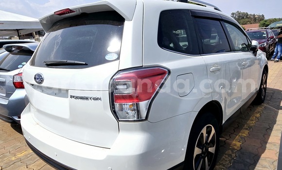 Buy New Subaru Forester White Car in Kampala in Uganda Buy New Subaru Forester White Car in Kampala in Uganda