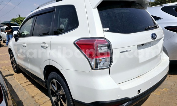 Buy New Subaru Forester White Car in Kampala in Uganda Buy New Subaru Forester White Car in Kampala in Uganda