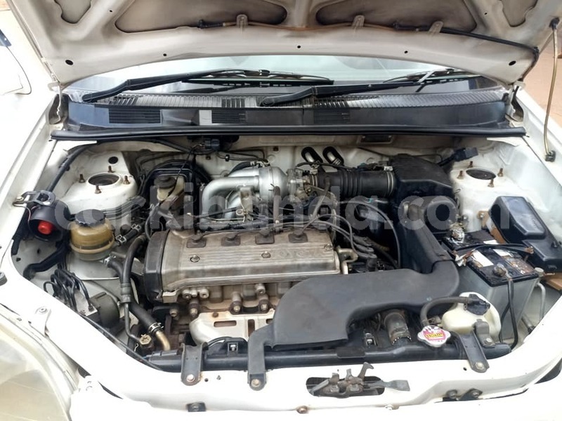 Big with watermark 49947103 2165534570431774 8975589317644648448 n