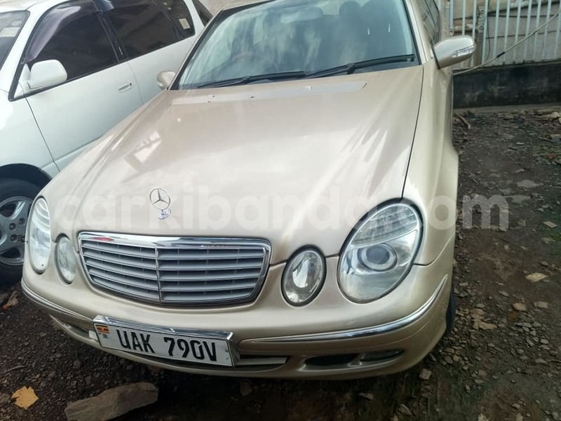 Big with watermark 50088463 2162281310757100 1433916428527861760 n