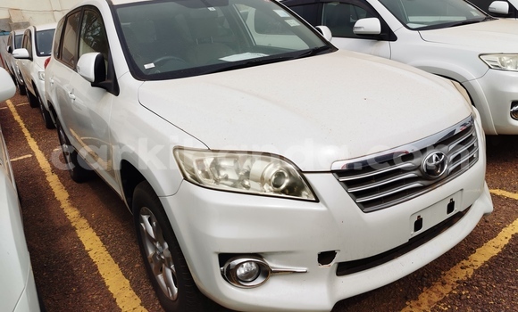 Buy Import Toyota Vanguard White Car in Kampala in Uganda
