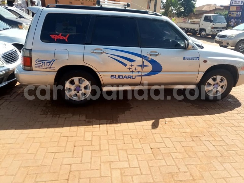 Big with watermark 49155727 2157113494607215 2344916873621012480 n