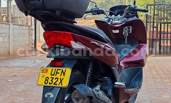 Buy Used Honda PCX Red Bike in Kampala in Uganda Buy Used Honda PCX Red Bike in Kampala in Uganda