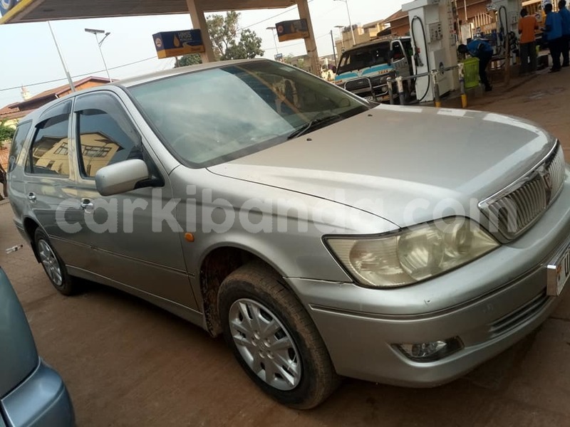 Big with watermark 48984796 2153347611650470 8765706459301281792 n