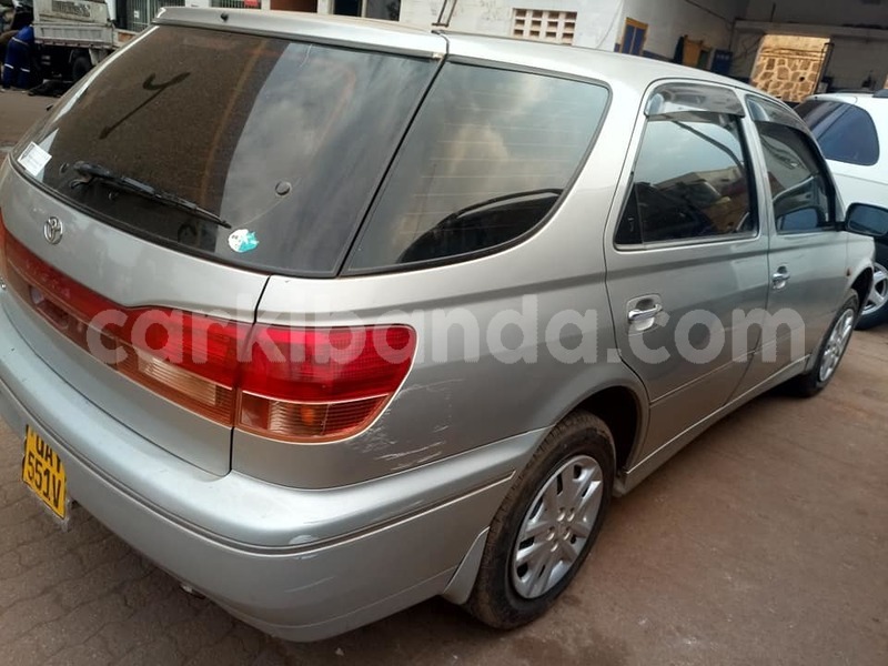 Big with watermark 49435411 2153347591650472 6577681747410944000 n