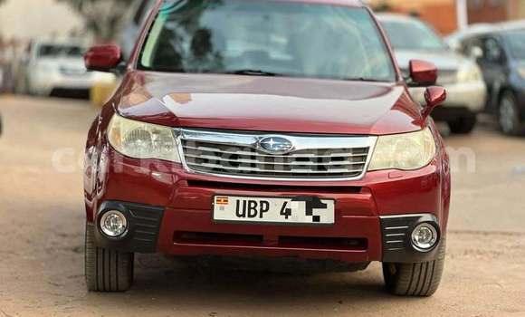 Gura Yakoze Subaru Forester Red Imodoka i Kampala mu Uganda