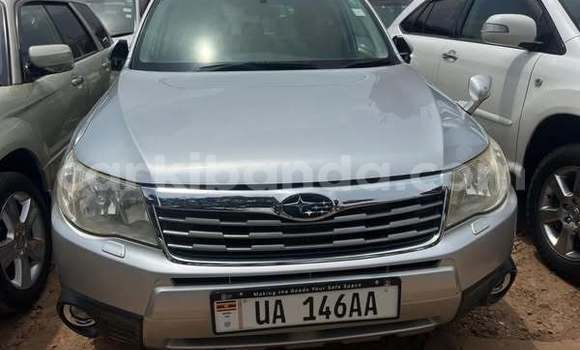Acheter Occasion Voiture Subaru Forester Autre à Kampala, Ouganda