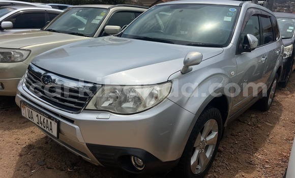 Nunua Ilio tumika Subaru Forester Nyingine Gari ndani ya Kampala nchini Uganda Nunua Ilio tumika Subaru Forester Nyingine Gari ndani ya Kampala nchini Uganda