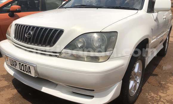 Acheter Occasion Voiture Toyota Harrier Blanc à Kampala, Ouganda