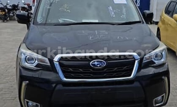 Buy Used Subaru Forester Black Car in Kampala in Uganda