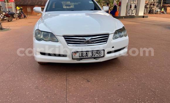 Buy Used Toyota Mark X White Car in Kampala in Uganda Buy Used Toyota Mark X White Car in Kampala in Uganda