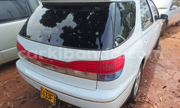 Buy Used Toyota Vitz White Car in Kampala in Uganda Buy Used Toyota Vitz White Car in Kampala in Uganda