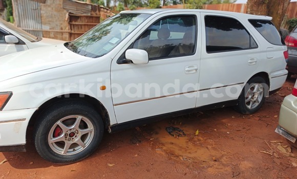 Buy Used Toyota Vitz White Car in Kampala in Uganda Buy Used Toyota Vitz White Car in Kampala in Uganda