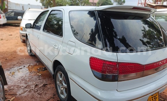 Buy Used Toyota Vitz White Car in Kampala in Uganda Buy Used Toyota Vitz White Car in Kampala in Uganda