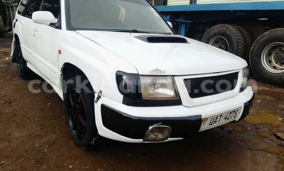Buy Used Subaru Forester White Car in Kampala in Uganda Buy Used Subaru Forester White Car in Kampala in Uganda