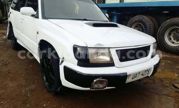 Buy Used Subaru Forester White Car in Kampala in Uganda Buy Used Subaru Forester White Car in Kampala in Uganda