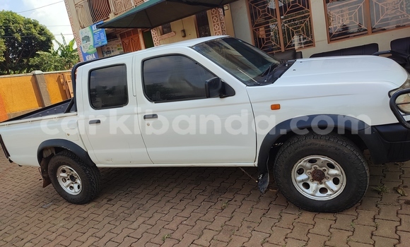 Buy Used Nissan Pickup White Car in Kampala in Uganda Buy Used Nissan Pickup White Car in Kampala in Uganda