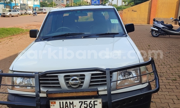 Buy Used Nissan Pickup White Car in Kampala in Uganda Buy Used Nissan Pickup White Car in Kampala in Uganda
