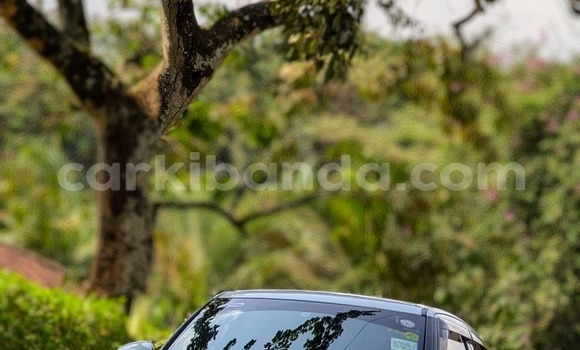 Buy Used Suzuki Swift White Car in Kampala in Uganda