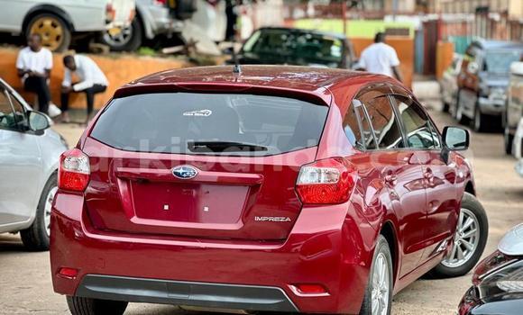 Nunua Ilio tumika Subaru Impreza Nyingine Gari ndani ya Kampala nchini Uganda Nunua Ilio tumika Subaru Impreza Nyingine Gari ndani ya Kampala nchini Uganda