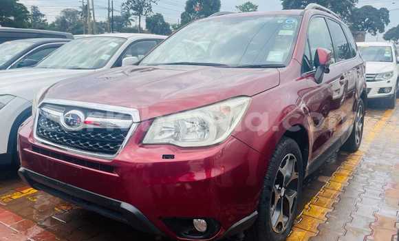 Gura Yakoze Subaru Forester Red Imodoka i Kampala mu Uganda